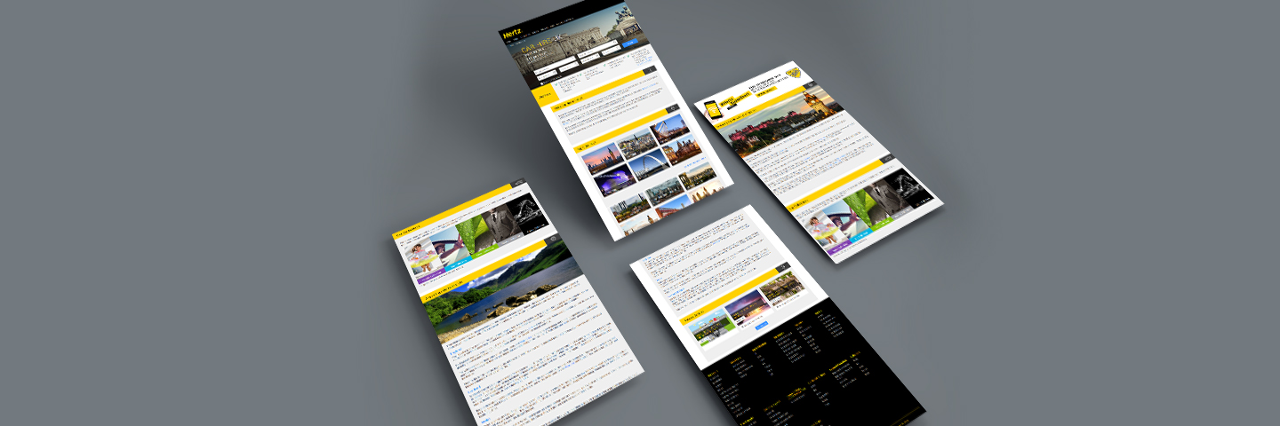 Hertz Local Business Case Study 03